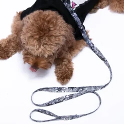 Unisex Ripndip Dark Twisted Fantasy Pet Leash