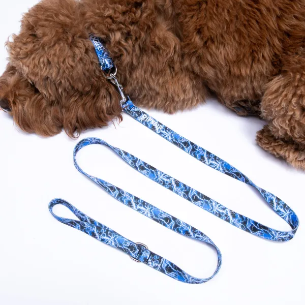 Unisex Ripndip Nikola Pet Leash